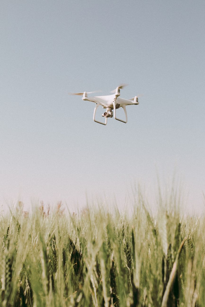 Campo cultivado de alta ingeniería agronómica en Argentina